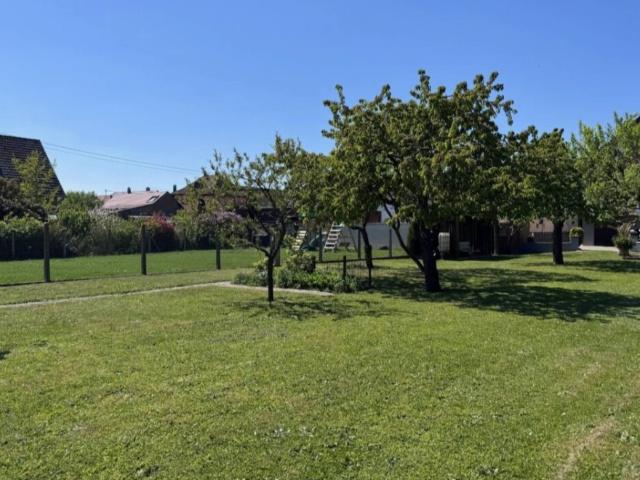 Plobsheim Vente Maison 67