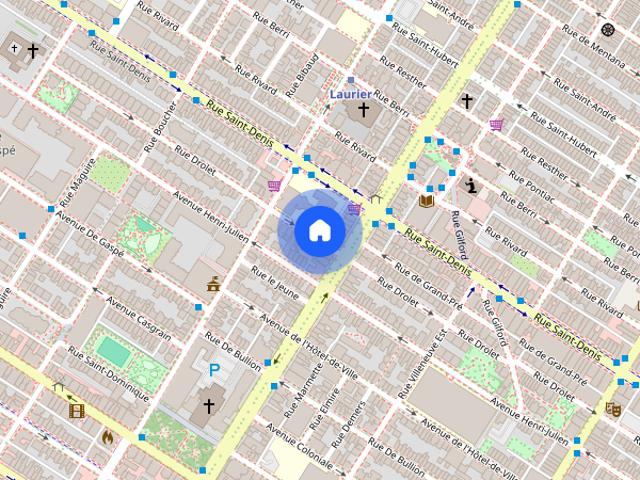 Plateau Mont Royal – Magnifique logement 4 1/2 à louer au centre du Plateau