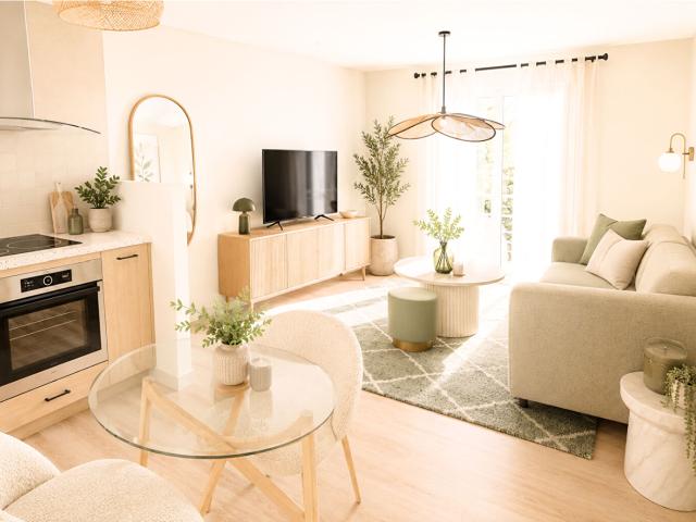 Plateau duplex 40m2 Saint Genis Laval centre