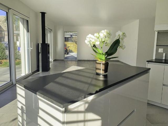 Plateau de Pinchat, a stunning contemporary townhouse in an ideal location