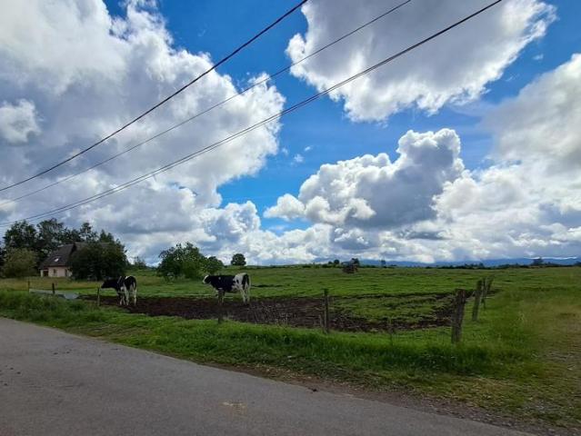 Plateau des mille étangs, campagne, sérénité
