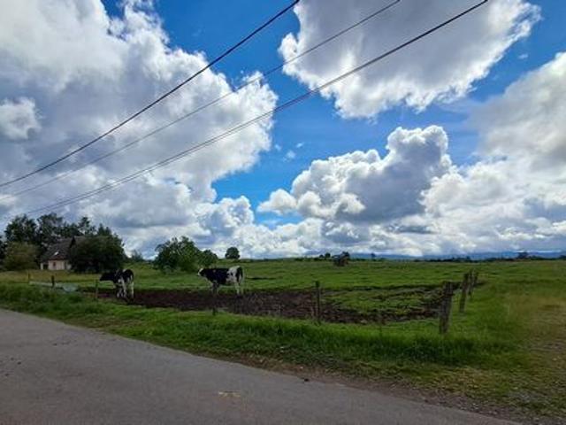 Plateau des mille étangs, campagne, sérénité