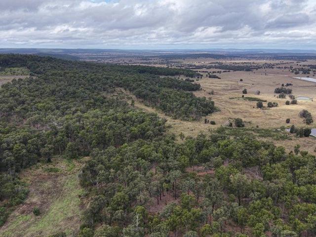 Plateau Grazing