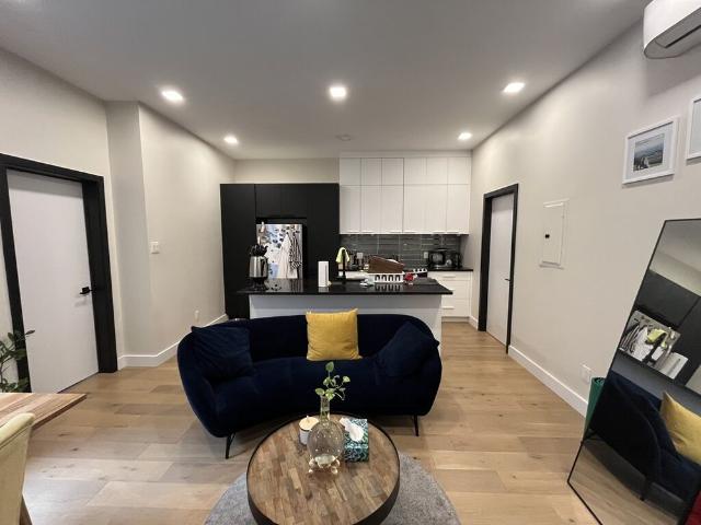 Plateau Superbe Loft 3 1/2 Rénové