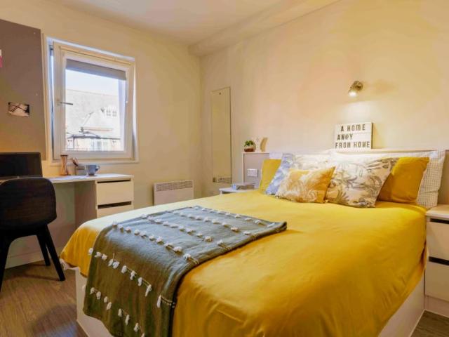 Platinum 1 Bed