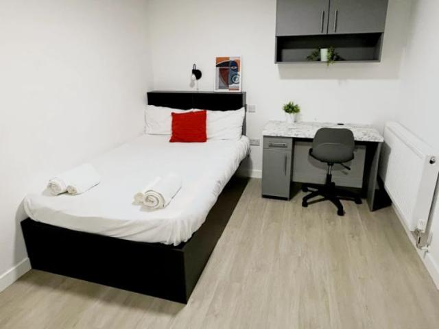 Platinum Plus Studio