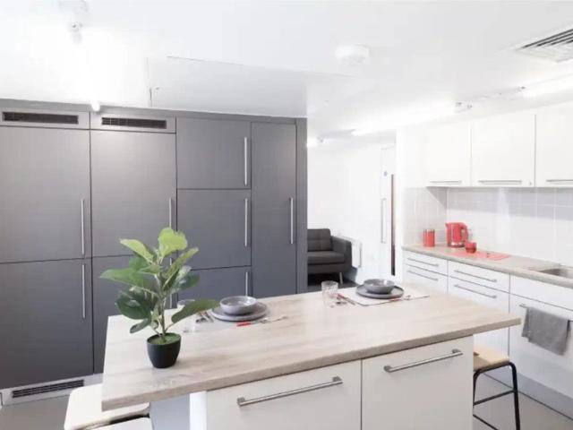 Platinum Studio Accessible