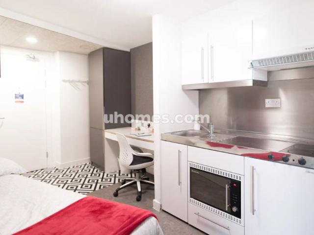 Platinum Studio Accessible