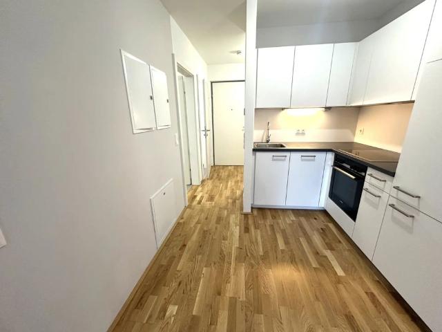 Platzhyrsch 2 Zimmer Mietwohnung mit Terrasse und Garten in Ruhelage | Besichtigung am 22.07.26 Anmeldung notwendig