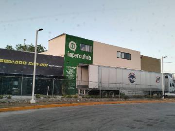 Ejidal Playa del Carmen, Playa del Carmen, Solidaridad Quintana Roo, Quintana Roo