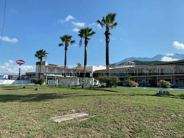 Plaza Palmares