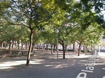 Plaça Milagros Consarnau Sabaté, L'Hospitalet de Llobregat, Catalonia 08902