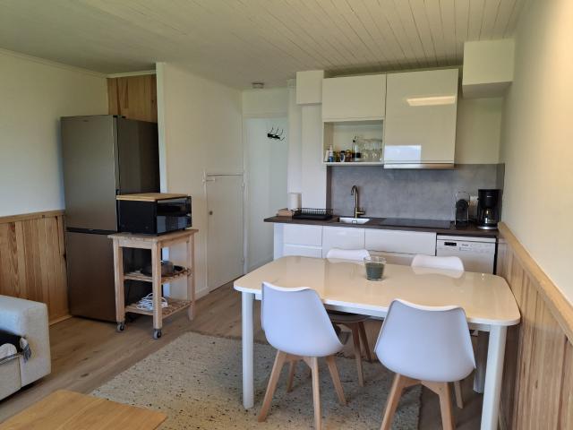 Pla d'Adet appartement T2 entièrement rénové au Village des Chalets