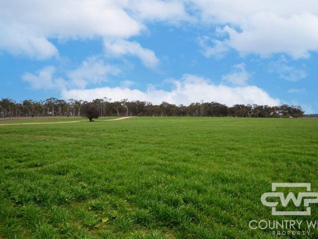 'Plain View' + 'Plain View South' Dual Property Opportunity
