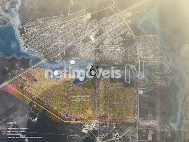 Planaltina Fazenda para investimento!