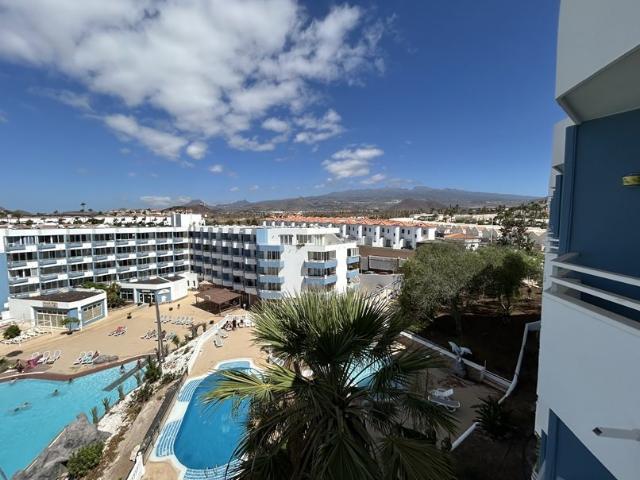 Planta alta, bien presentado apartamento estudio con vistas. 38m² Golf Del Sur