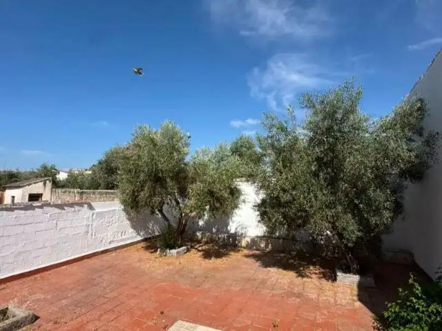Planta baja de alquiler en Calle José Alcantara, 3, Belmez, Córdoba