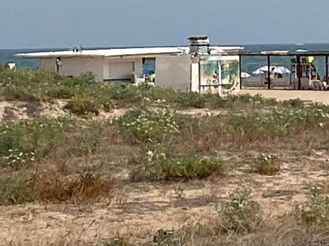 Planta baja en Venta en Xeraco