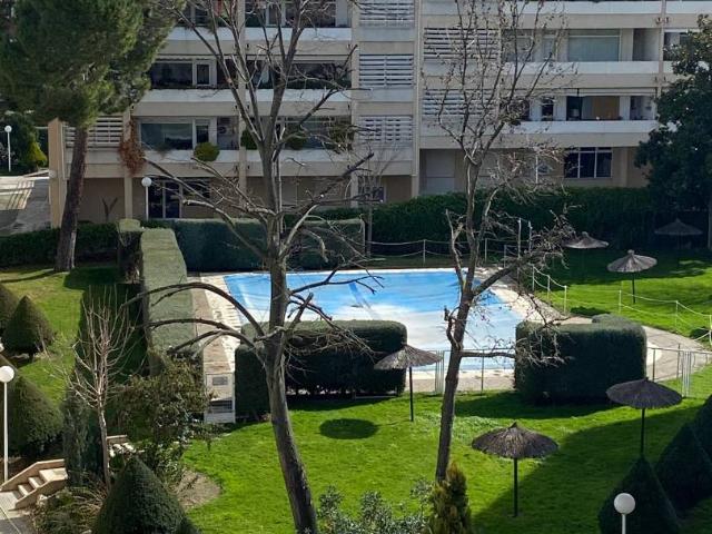 Planta baja en Venta en Avenida Europa