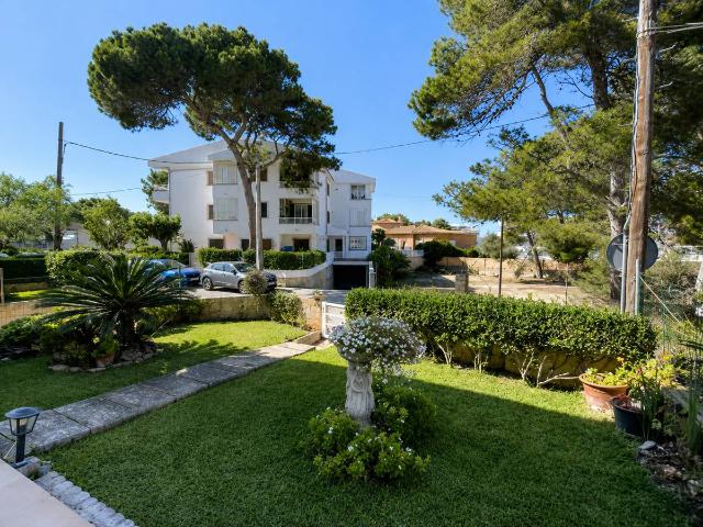 Planta baja en Venta en Can Picafort