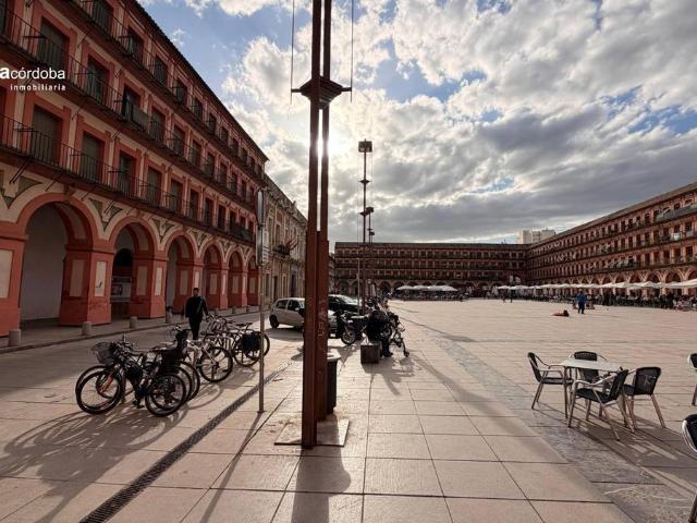 Planta baja en Venta en Casco Histórico Ribera San Basilio