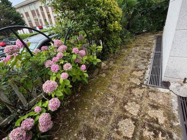 Planta baja en Venta en Helgueras