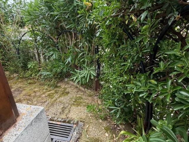 Planta baja en venta en Noja, Helgueras. Bajo en venta en Helgueras. Plantas bajas.