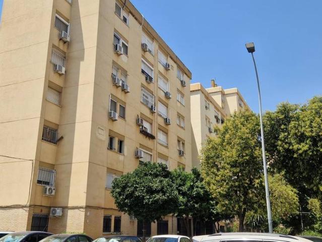 Planta baja en Venta en Pino Montano Consolación