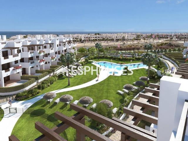 Planta baja en Venta en San Juan de los Terreros
