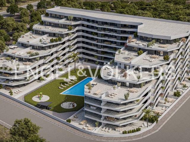 Planta baja en Venta en San Miguel de Salinas