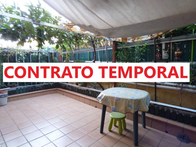 Planta baja en Alquiler en Canaletes Turonet