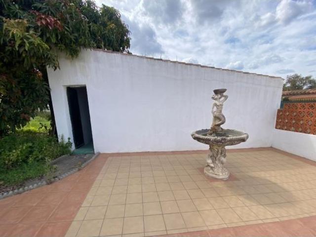 PLANTA BAJA EN ALQUILER EN EL RINCONCILLO