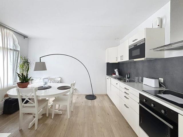 Pleasant renovated furnished 1 bedroom apartment