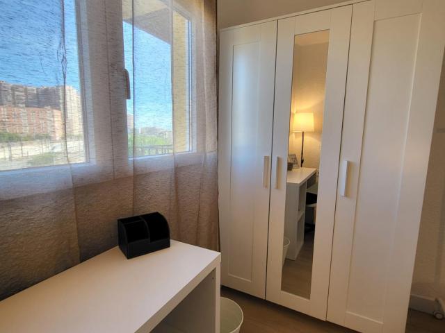 Pleasant single bedroom near Alacant train station
