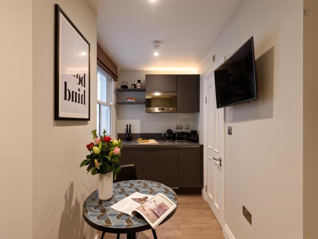 Pleasant studio near the Baker Street tube station Has an Apartment