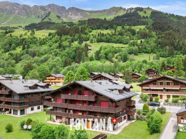 PPE Diablerets Parc C Lot C5
