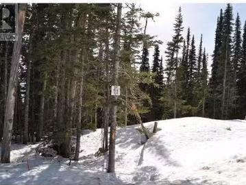Pr. St Lt 11 Alpine Way, Smithers, BC, V0J 2N0 vacant land f.