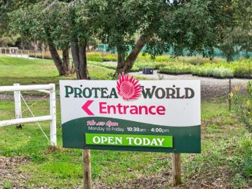 Protea World | An Award Winning Nursery Estate of Distinction