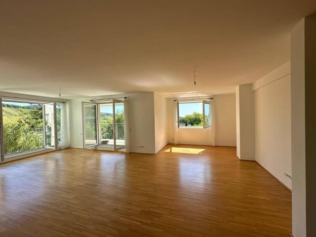 PROVISIONSFREI! 150m² Luxus Wohntraum mit Weitblick in 1190 Wien
