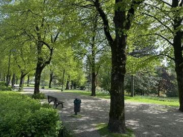 Provisionsfrei* Top Geschäftshaus direkt am Stadtgarten Essen Südviertel