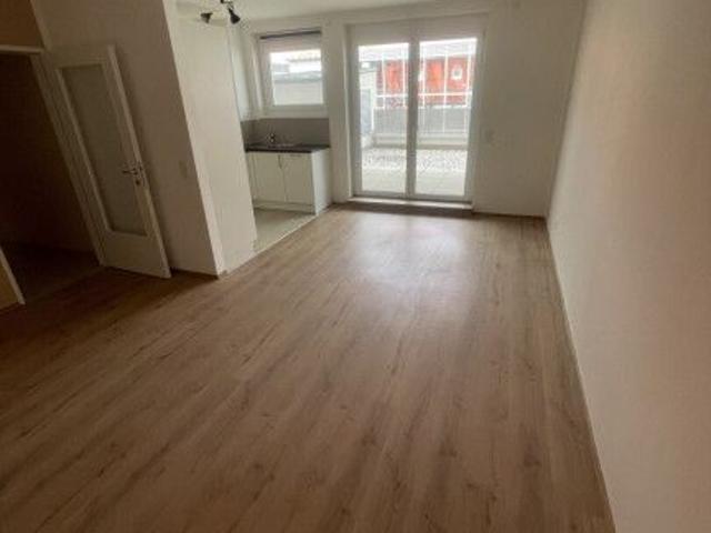 Provisionsfrei und Sofortbezug: 3 Zimmerwohnung mit über 50 m² großen Terrassenfläche direkt an der Stadtgrenze Wien Top 3/9