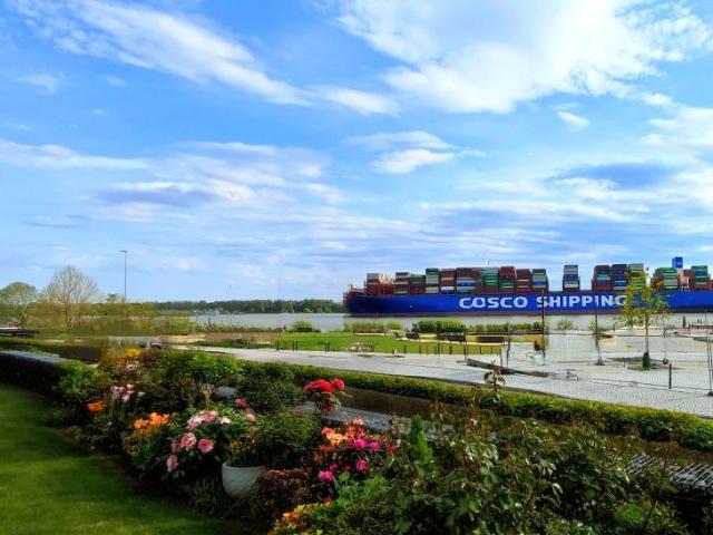 Provisionsfrei* Elbe bei Hamburg, moderne Terrassenwohnung, am Wasser, Elbblick