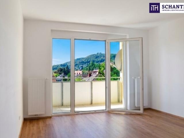 PROVISIONSFREI! Erstbezug mit neuer Küche nach Top Sanierung. 2 Zimmer Wohnung im 2. Stock mit Grünblick und Sonnenlage