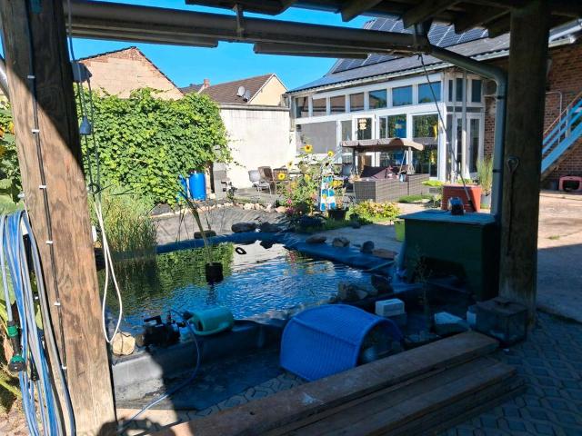 Provisionsfrei.Luxus Oase vier seiten Hof Sauna,Pool,Bar,PV,Teich