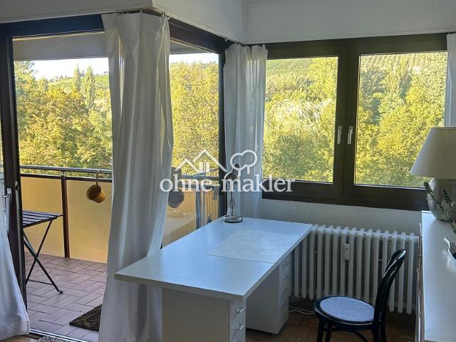 Provisionsfrei: Möbliertes Apartment mit Balkon und Weinbergblick in Heidingsfeld, sofort frei
