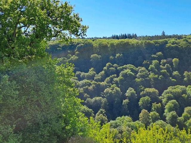 Provisionsfrei, naturnahes Haus Wohnidyll, mit etwas Komfort