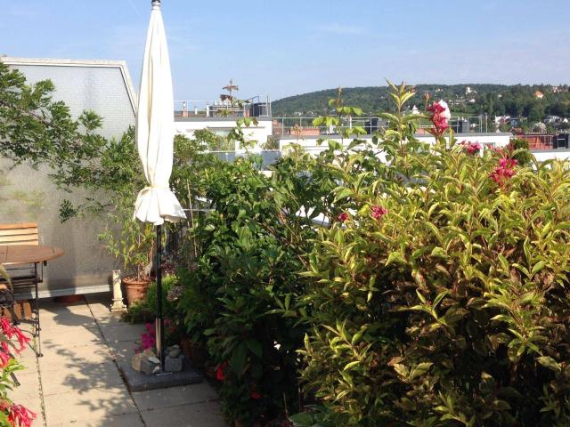Provisionsfrei | Privat Wunderschöne, sehr ruhige 4 Zimmer Dachgeschoss Maisonette mit Terrasse in 1170 Wien