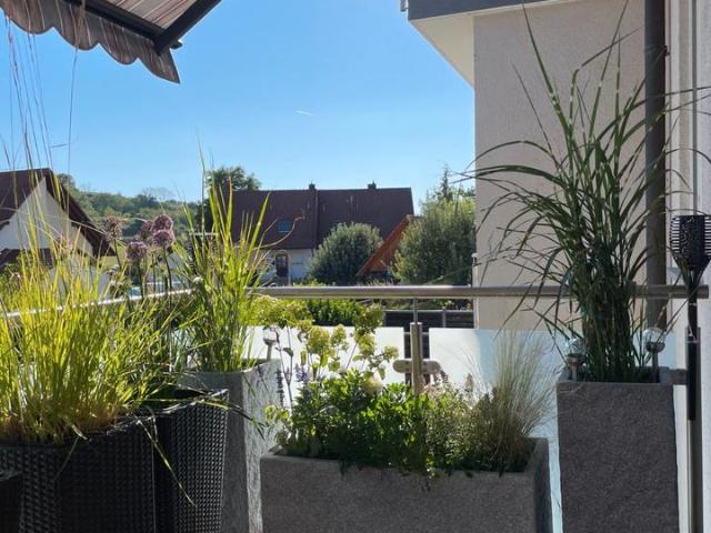 Provisionsfreie, modernisierte 3 Zimmer Wohnung in Ettenheim