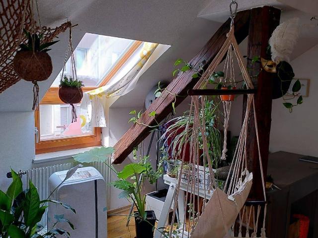 Provisionsfreie WG taugliche Dachgeschosswohnung mit Kamin am Lendplatz im Zentrum von Graz zu vermieten