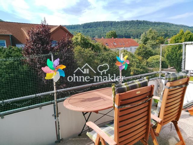 Provisionsfreie top gepflegte 3 Zimmer Wohnung in Springe mit wunderschönem Deisterblick